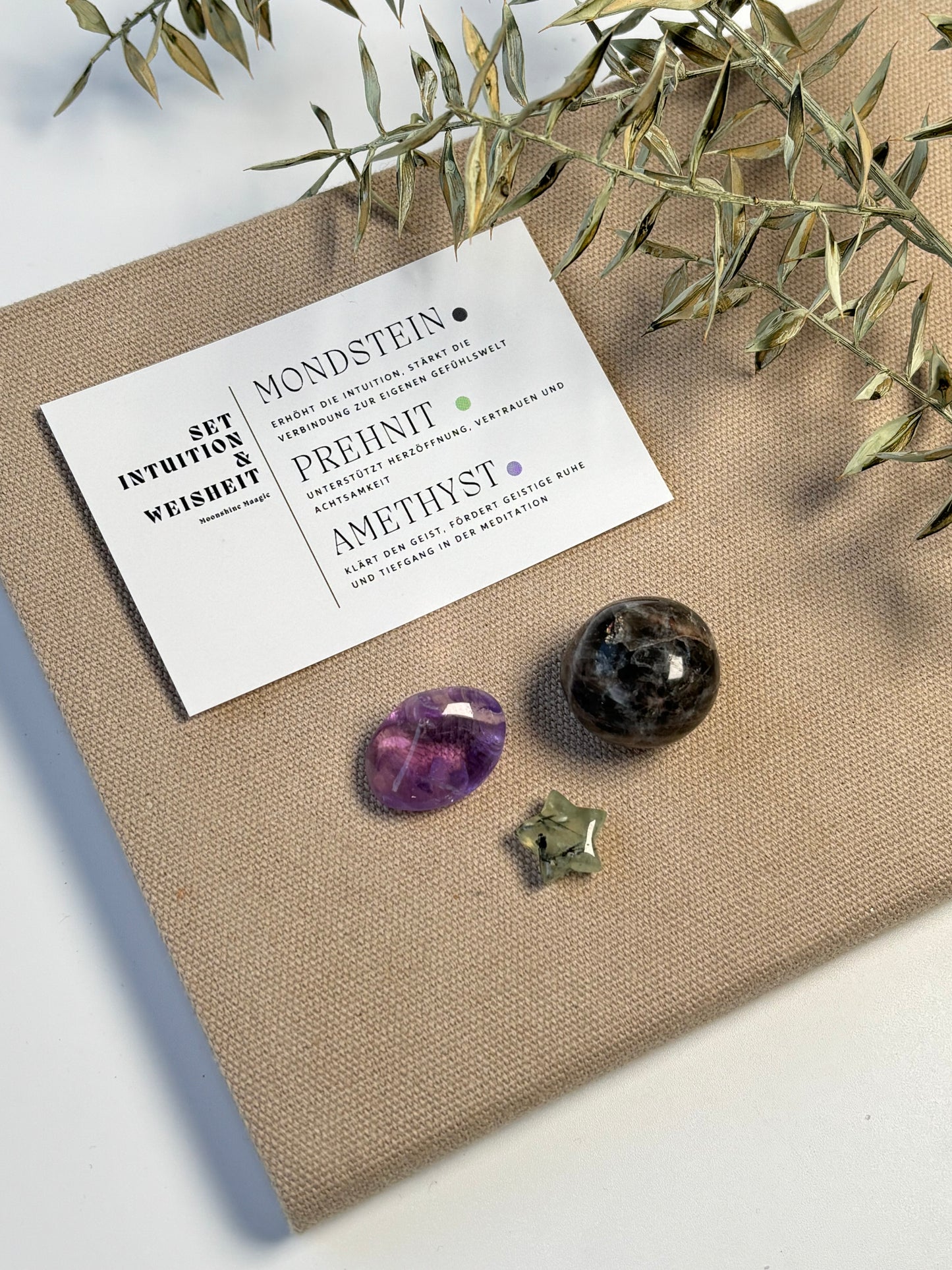 Set Intuition & Weisheit